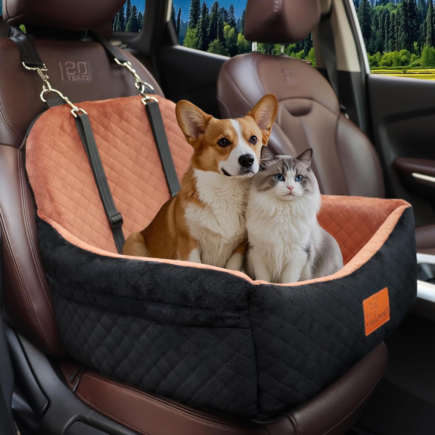 Car Dog Seat for Safe and Comfy Travel with Your Puppy