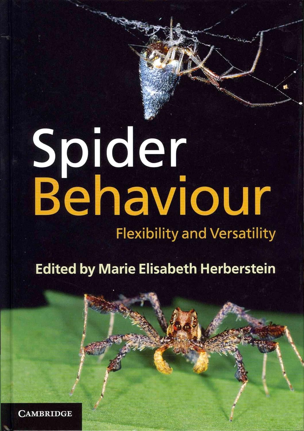 Spider Behaviour: Flexibility and Versatility in Nature's Web