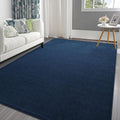 Pettop Area Rugs for Bedroom Living Room - Soft Comfy Carpet