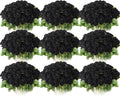 Jexine 100 Pieces Artificial Roses Bulk Black - Long Stem Decor