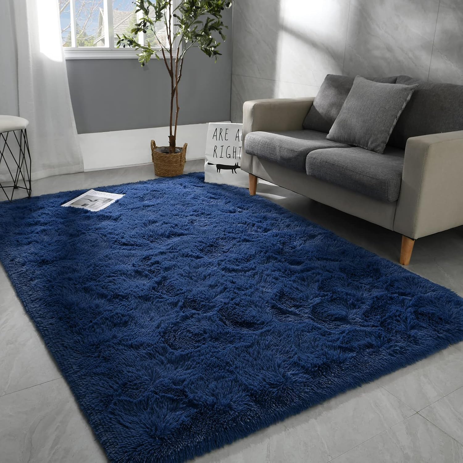 Hutha 8x10 Large Area Rugs for Living Room, Soft and Fluffy