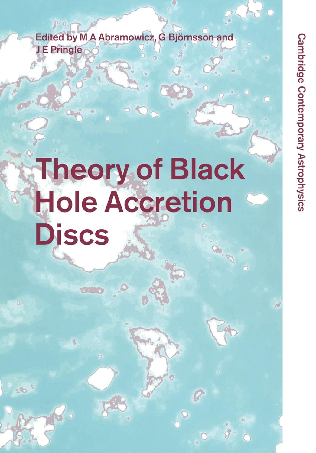 Theory of Black Hole Accretion Discs: A Comprehensive Guide