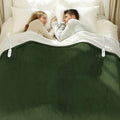 Heated Blanket Queen 84 in x 90 in - Dual Control Electric Blanket