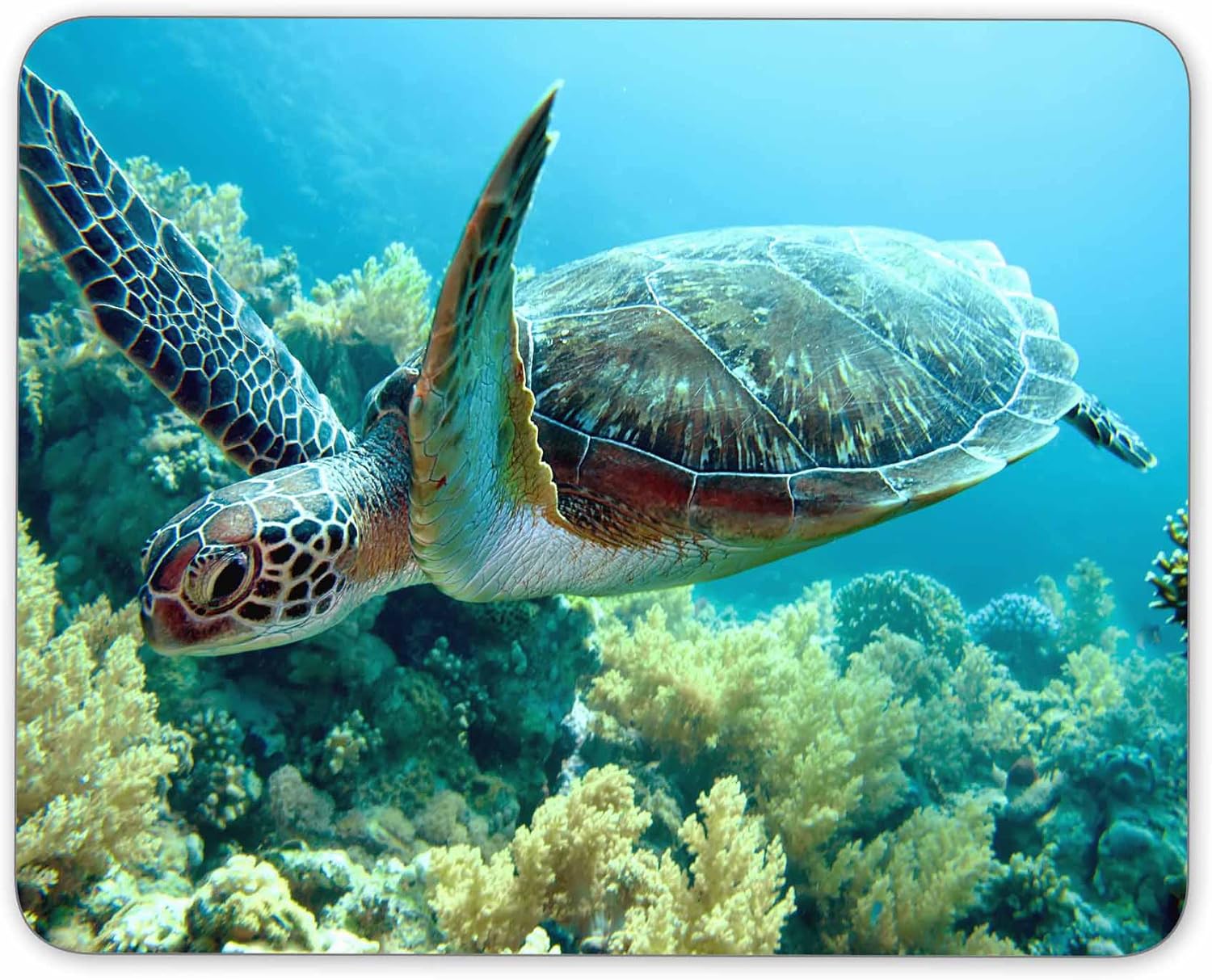 Quality Green Sea Turtle Mouse Pad with Wrist Support