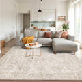 Washable Area Rug for Living Room 4x6 ft - Low Pile Non Slip Rug