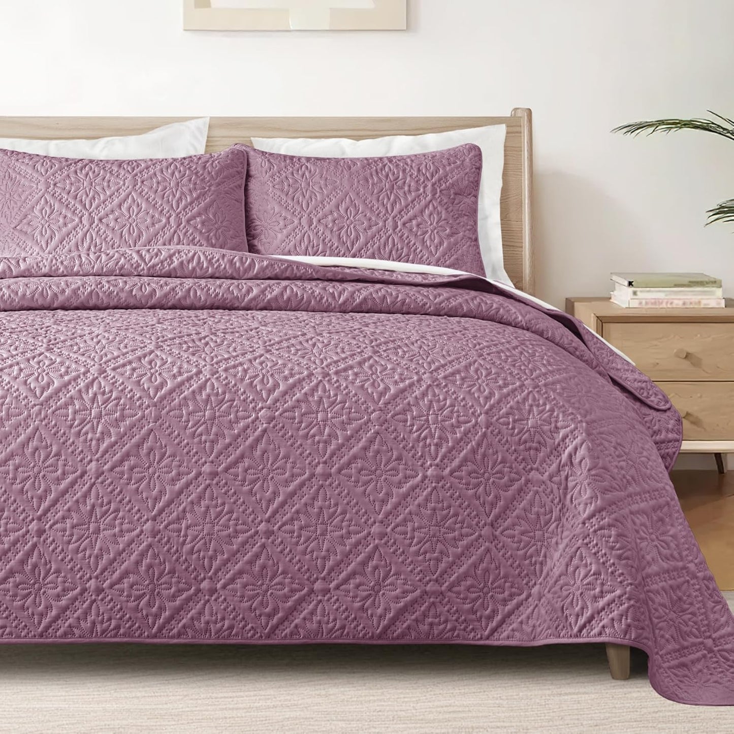 Exclusivo Mezcla Queen Quilt Bedding Set for All Seasons Comfort