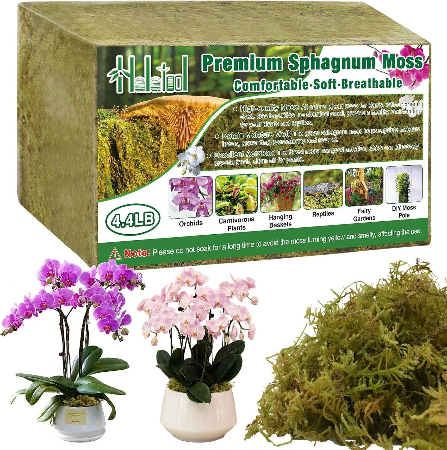 Natural Sphagnum Moss for Plants - Fluffy Orchid Moss 4.4LB