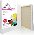 PHOENIX Large Stretched Canvas 20x20 in 5 Pack - Triple Primed Cotton