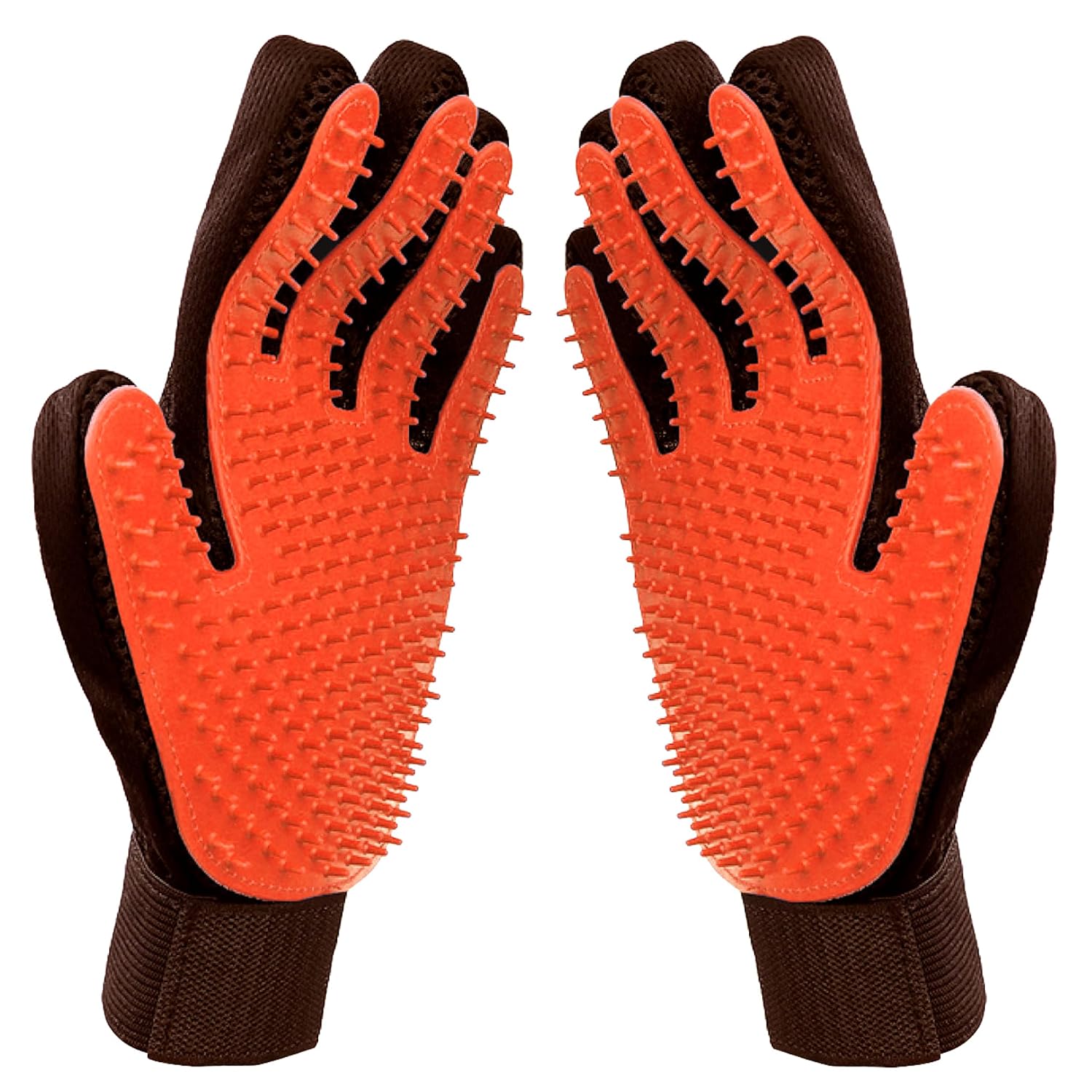 Deshe d & Groom with Raw Paws Gloves