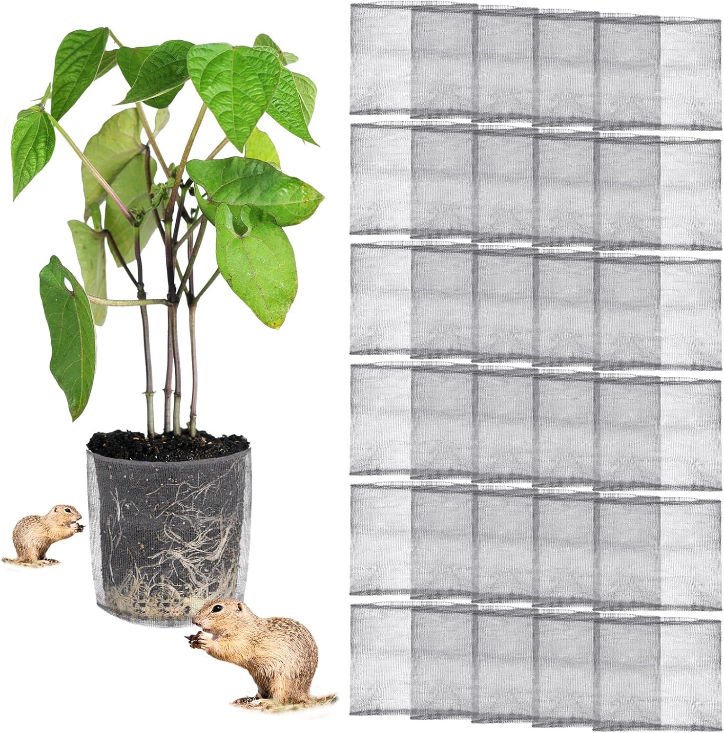 30 Pcs 3 Gallon Gopher and Vole Wire Mesh Basket Set