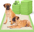 Bamboo Dog Pee Pads 30x36in XXL - Odor Control, 30 Count