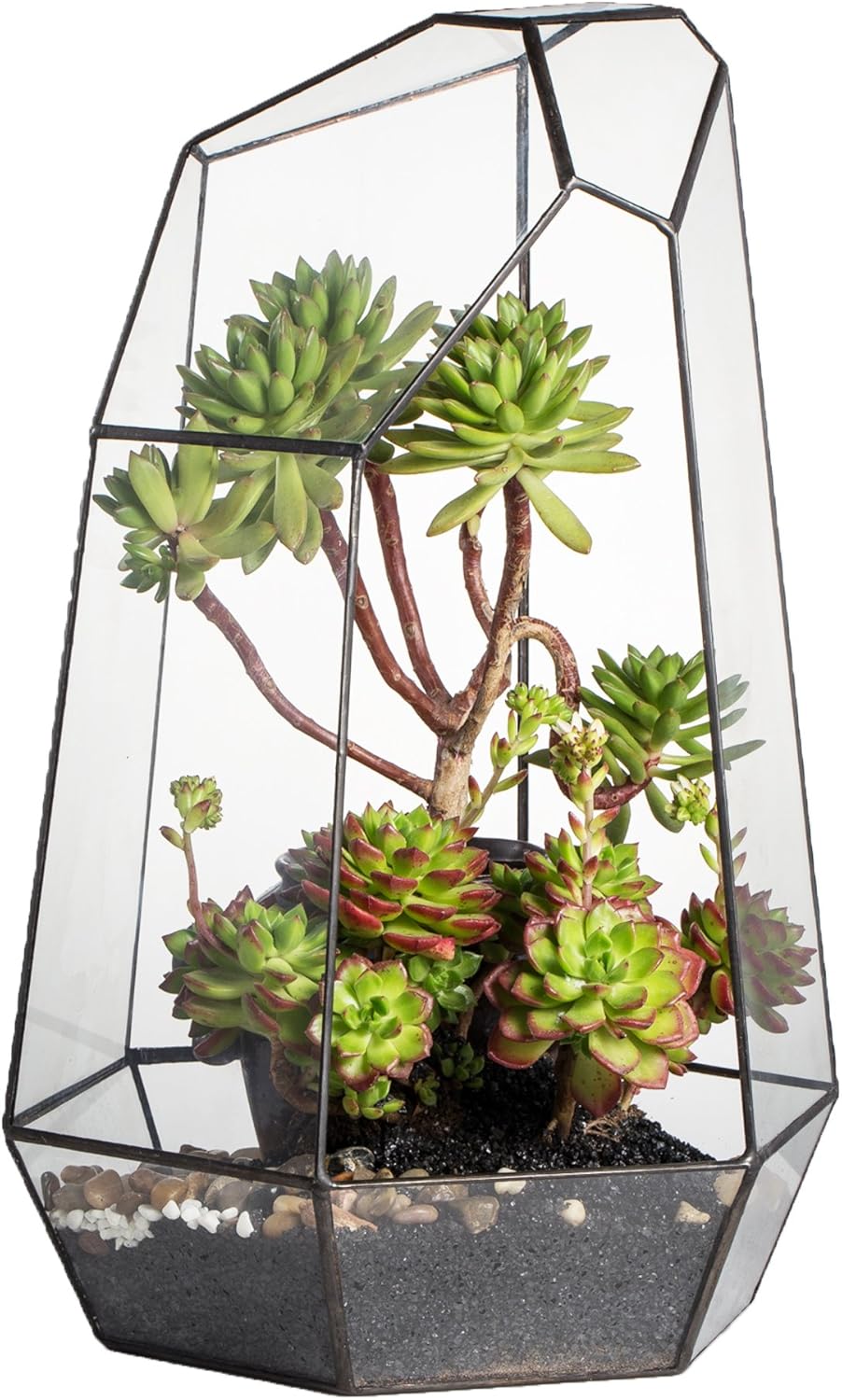 NCYP Large Geometric Terrarium - 16 Inches Tall for Plants