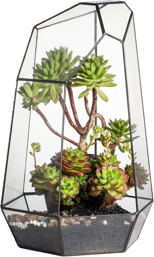 NCYP Large Geometric Terrarium - 16 Inches Tall for Plants