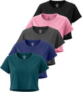 Women's Dry Fit Crop Top 5 Pack - Short Sleeve Crew Neck Comfort