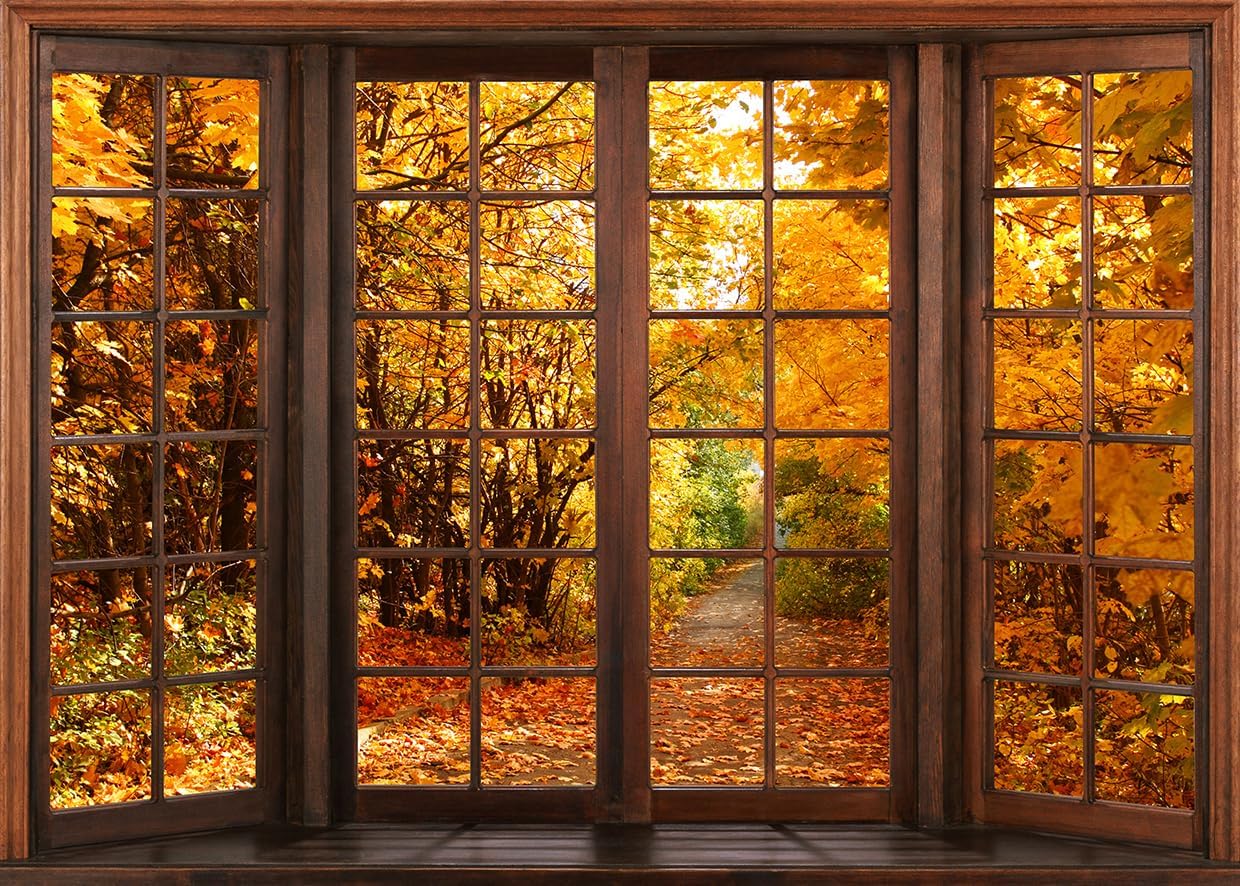 Fall Window Backdrop Autumn Forest Scene for Thanksgiving Photos