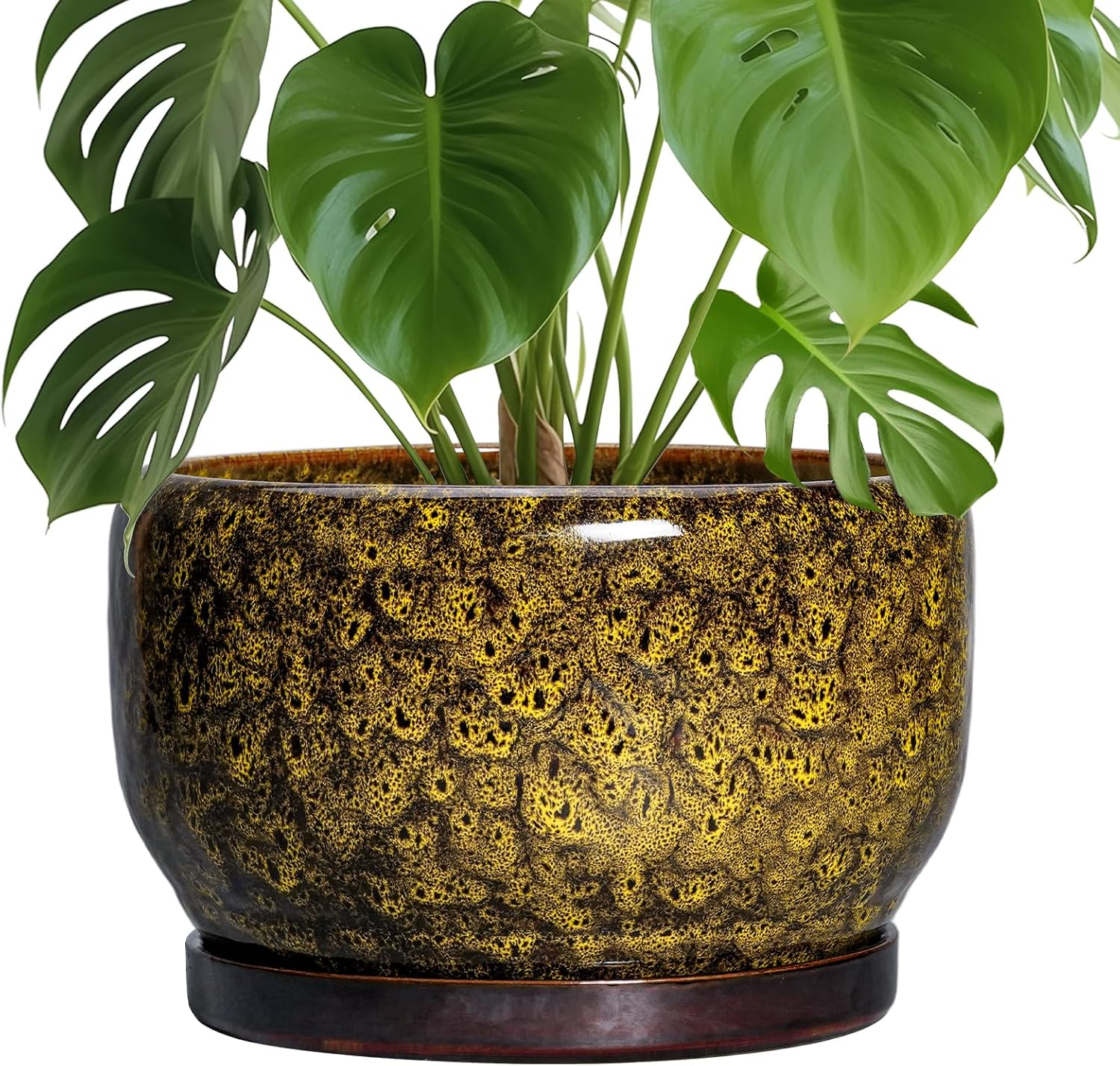 SQOWL 10 Inch Plant Pot - Durable Ceramic Planter for Home