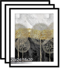 20x24 Picture Frame Set of 3 - Lightweight Black Frames for Posters