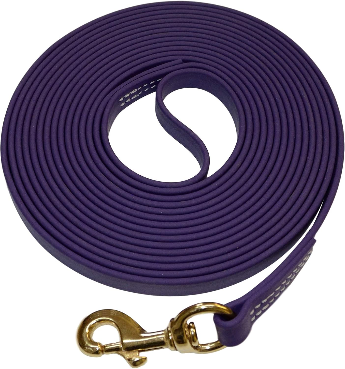 Biothane Waterproof All Weather Dog Leash for All Seasons