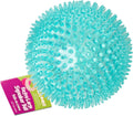 Extra Large Spiky Squeaker Ball - Promotes Dental Health!