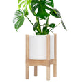 D'vine Dev Planter Pot with Stand - 8 in Cylinder Planter set