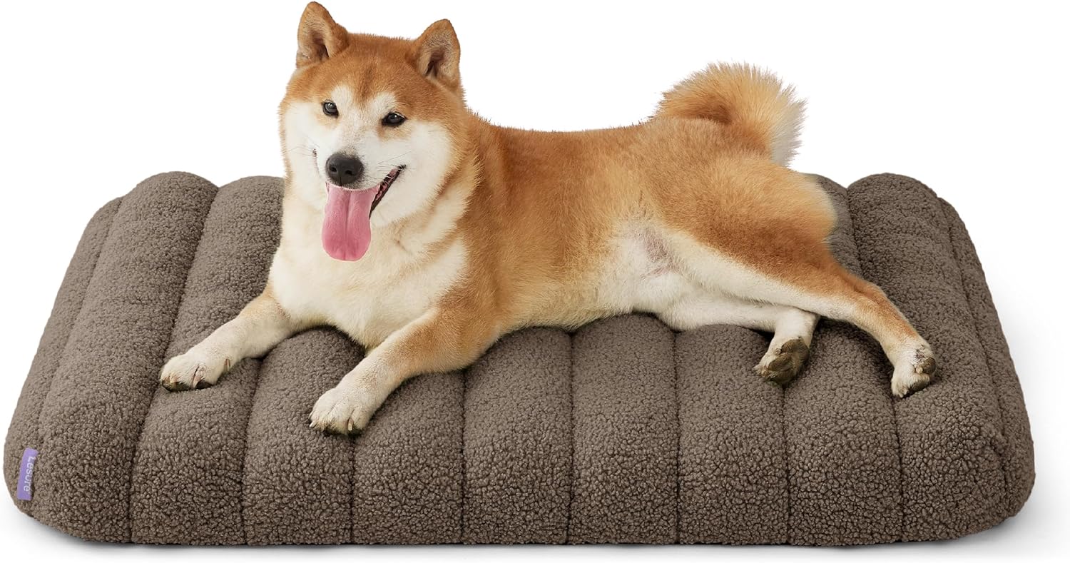Lesure Cute Orthopedic Dog Bed for Medium Dogs, Waterproof Design