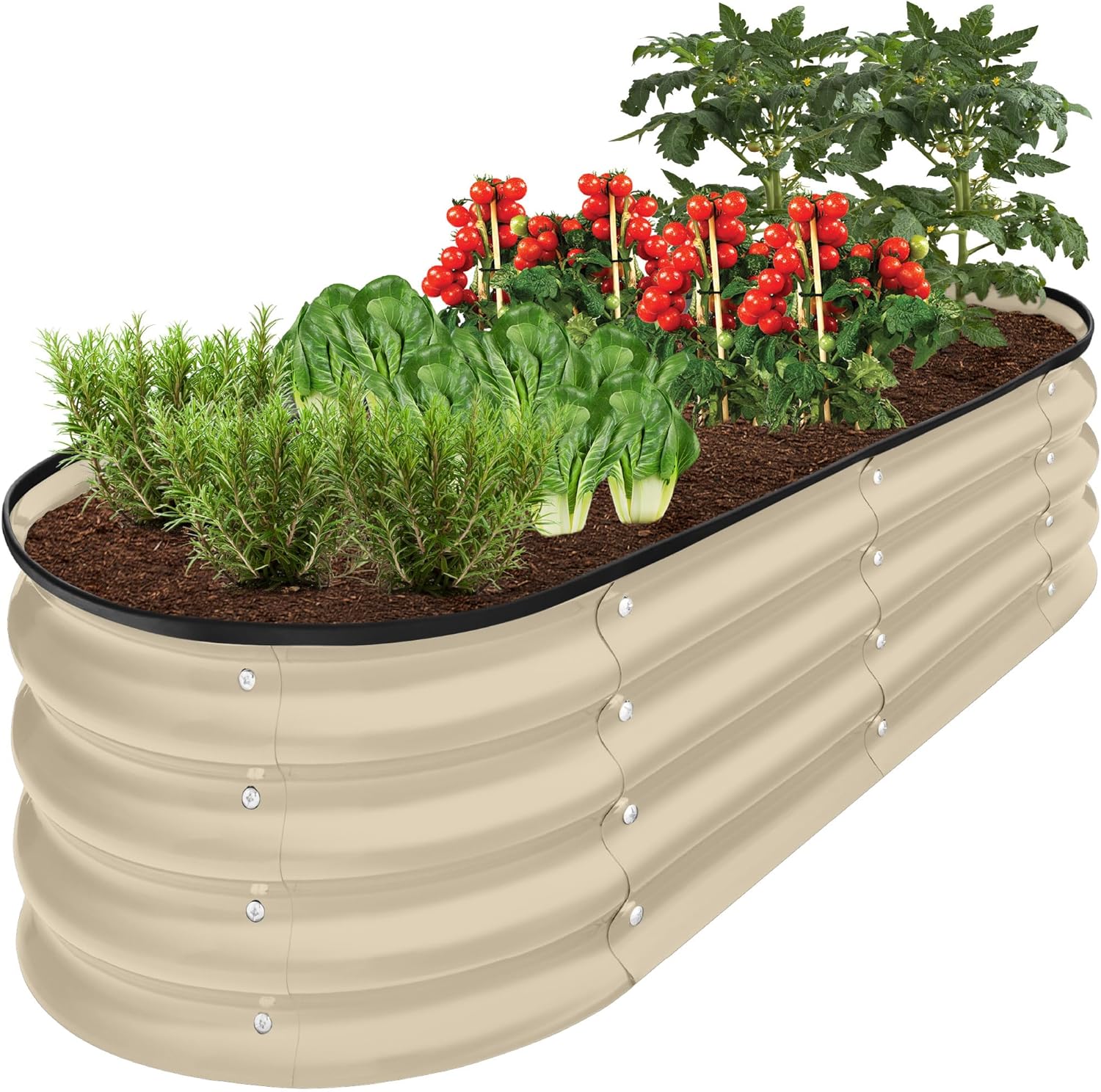 Outdoor Metal Raised Garden Bed for Vegetables and Herbs