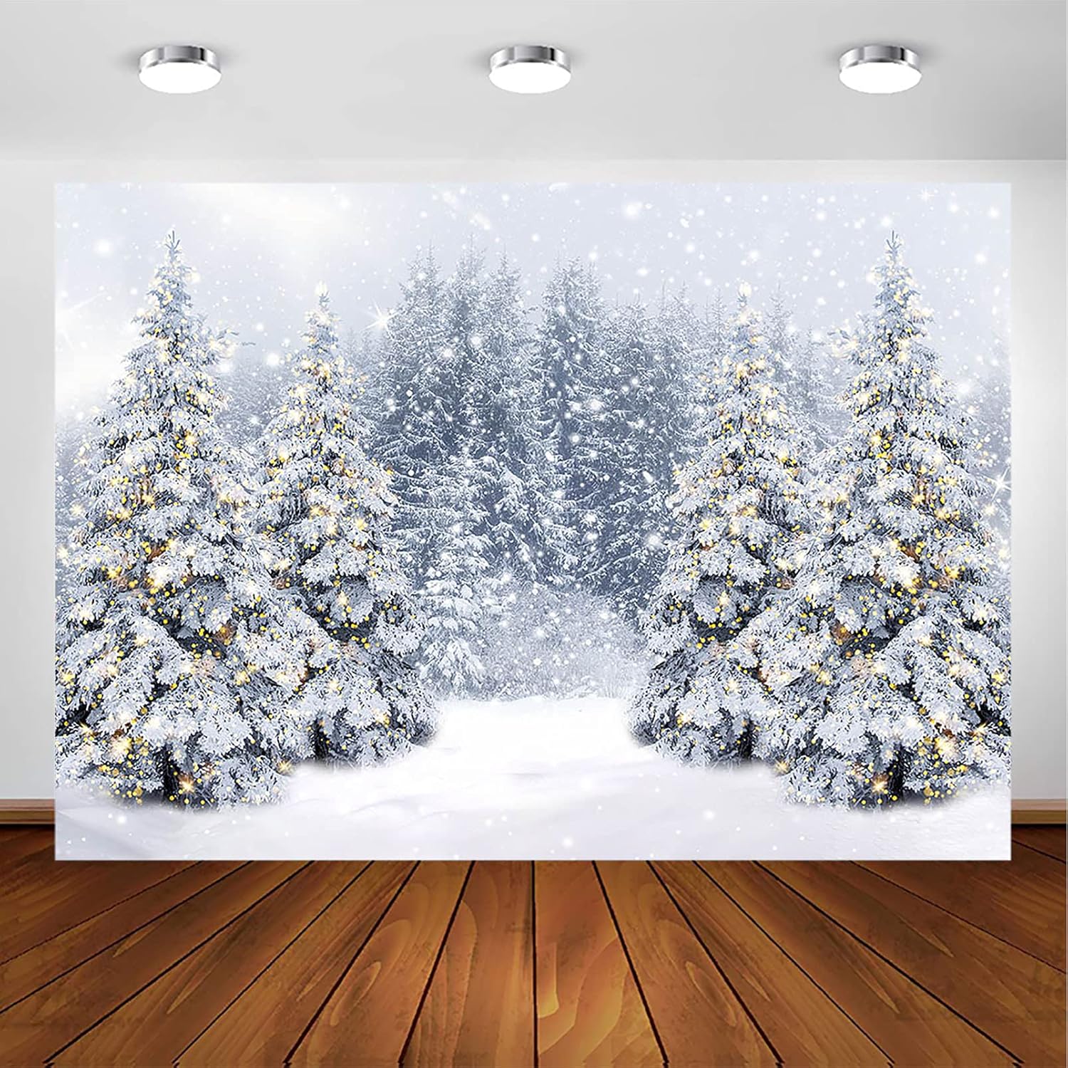 Avezano Winter Scene Backdrop for Stunning Holiday Photos