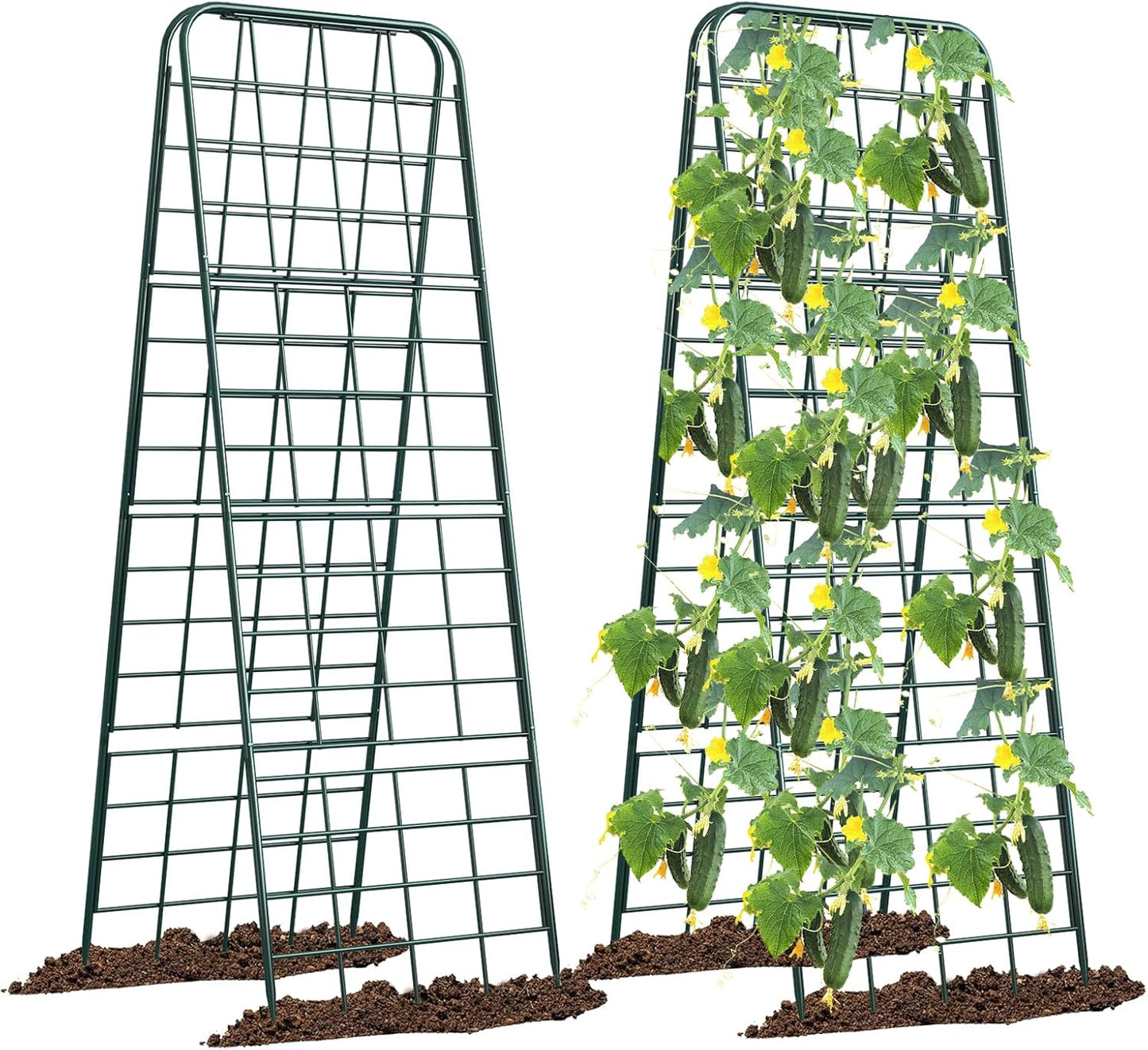 Heavy Duty Adjustable A-Frame Trellis for Climbing Plants