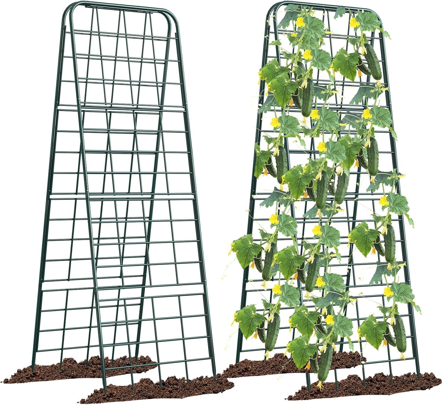 Heavy Duty Adjustable A-Frame Trellis for Climbing Plants
