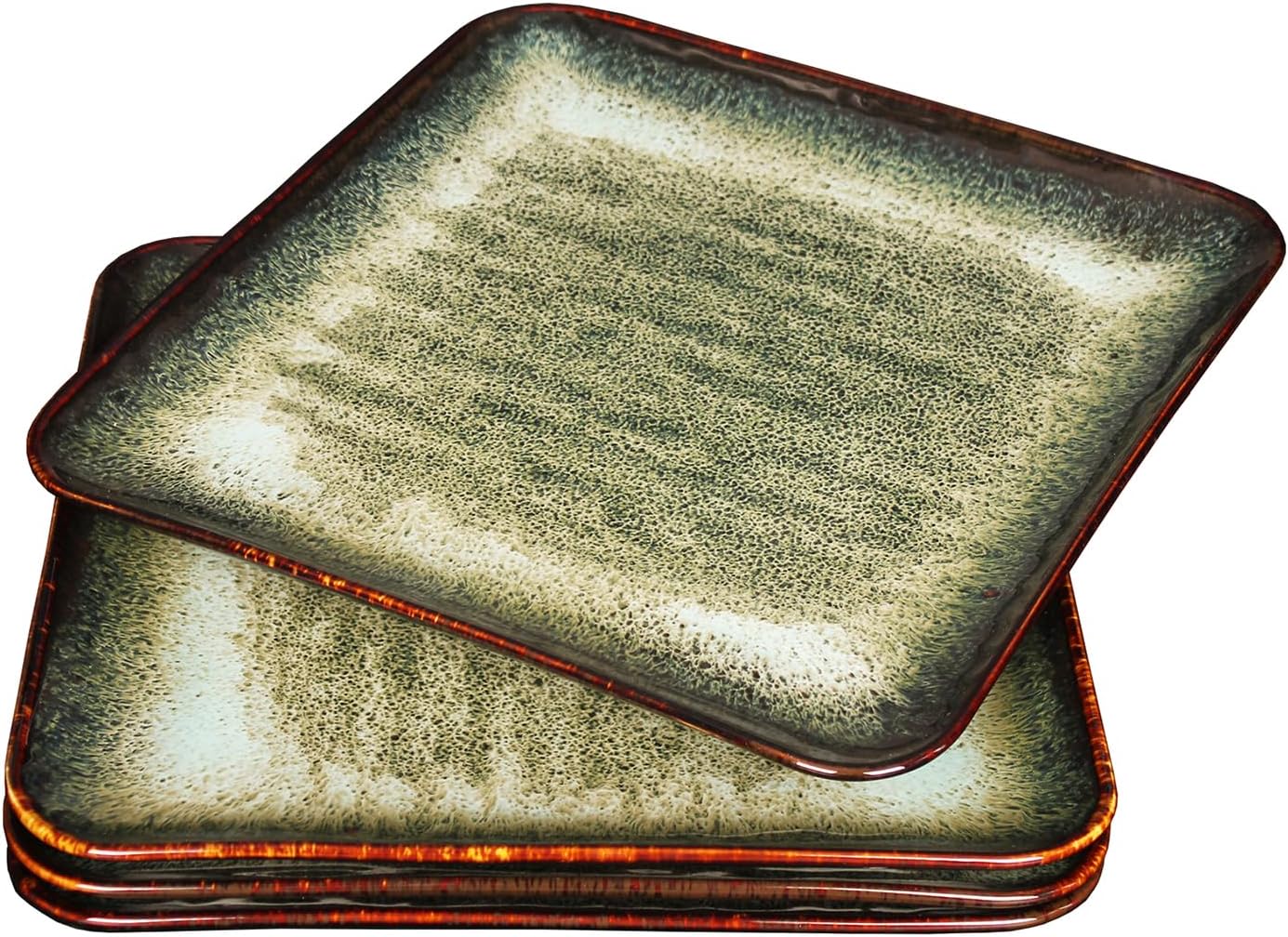 Ceramic Dinner Plates Set of 4, Microwave Safe and Scratch Resistant