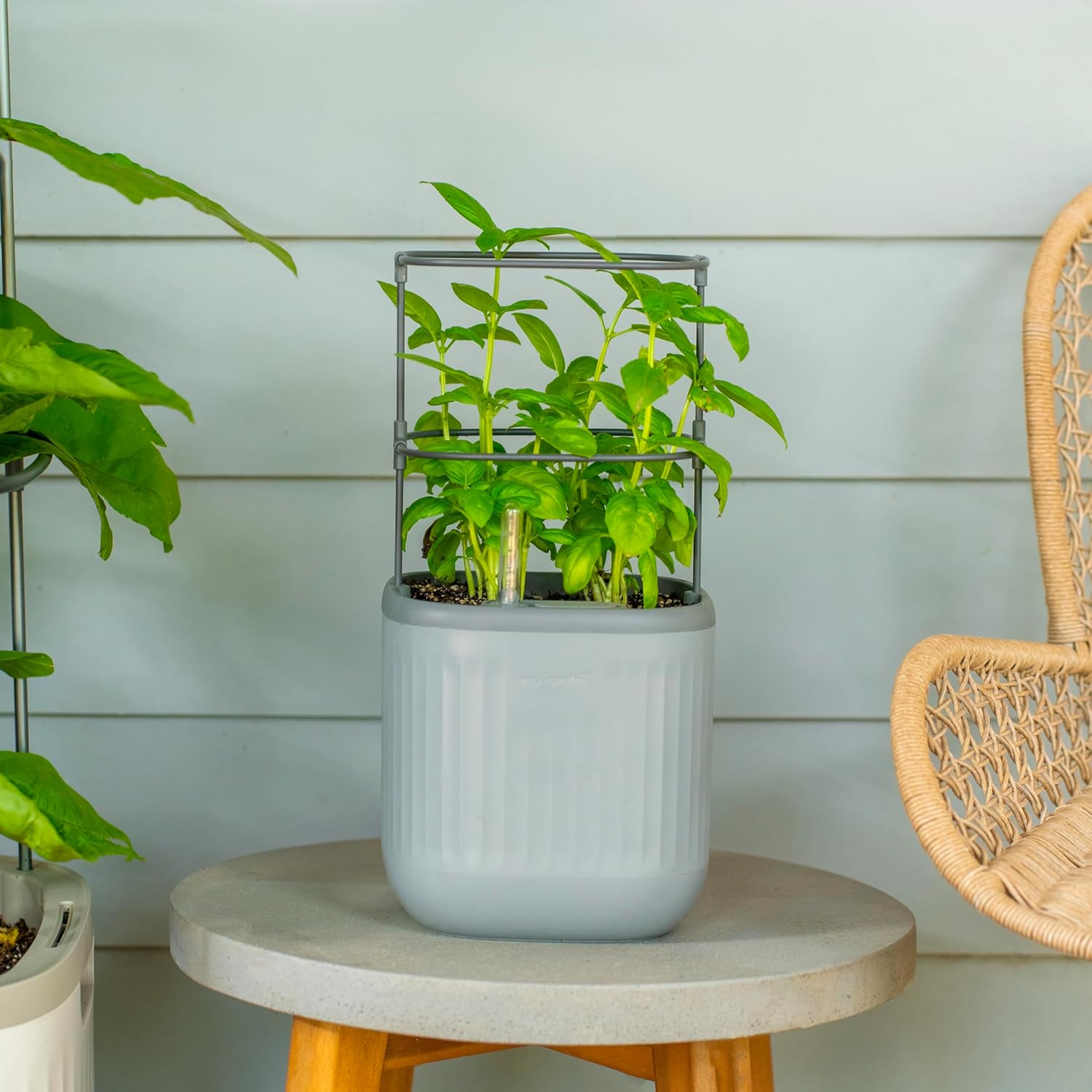 Vego Garden Mini Planter Indoor Pots with Trellis System