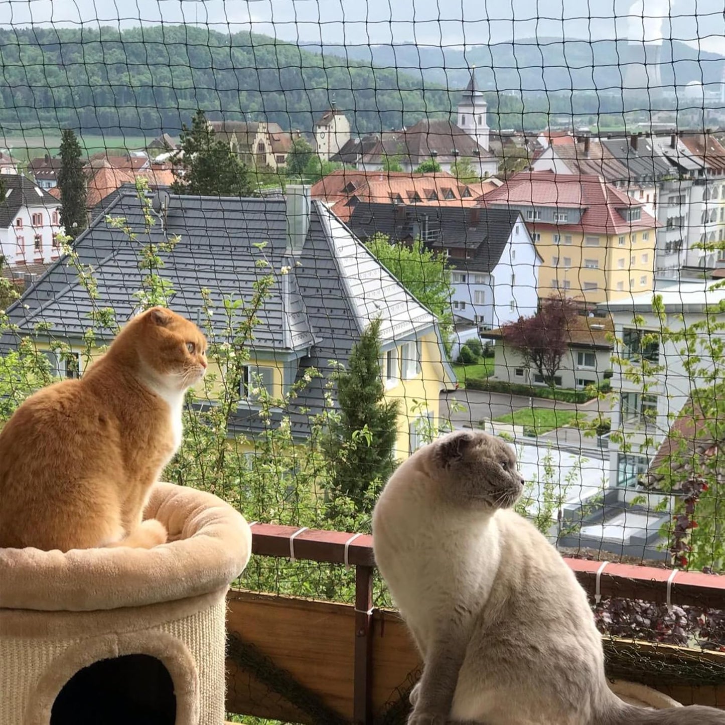 Wire-Reinforced Cat Netting for Balcony Safety and Protection
