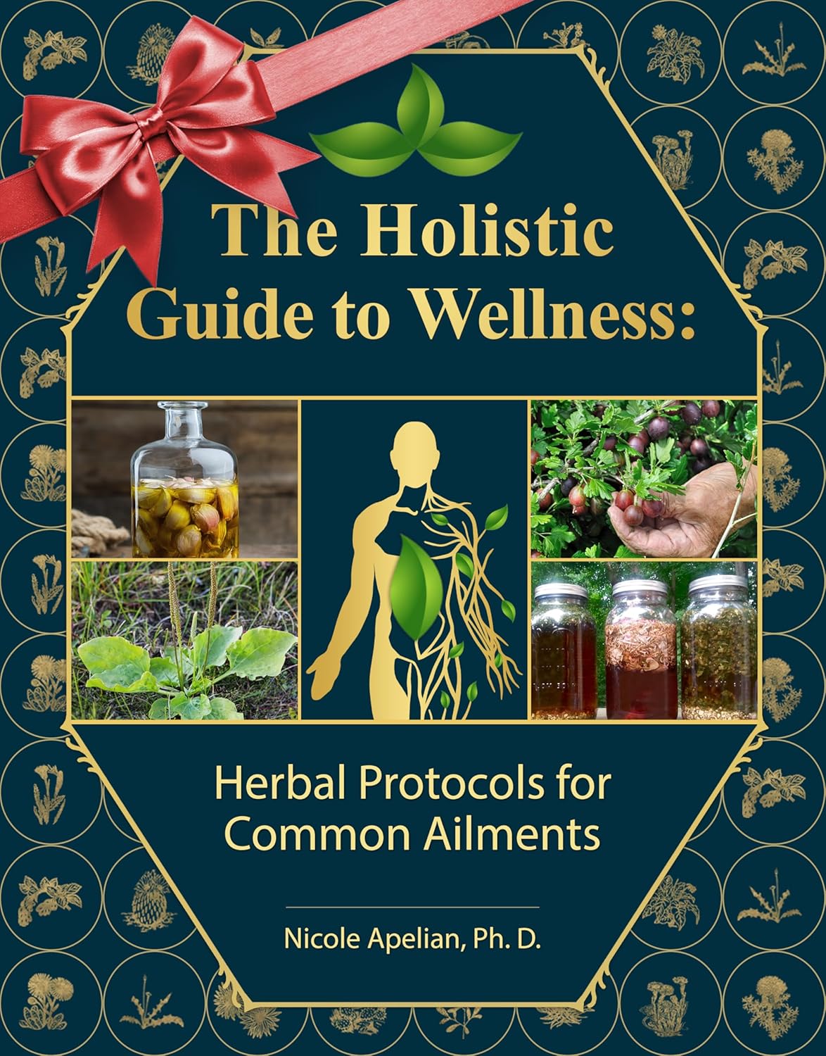 The Holistic Guide to Wellness: Herbal Protocols for Common Ailments