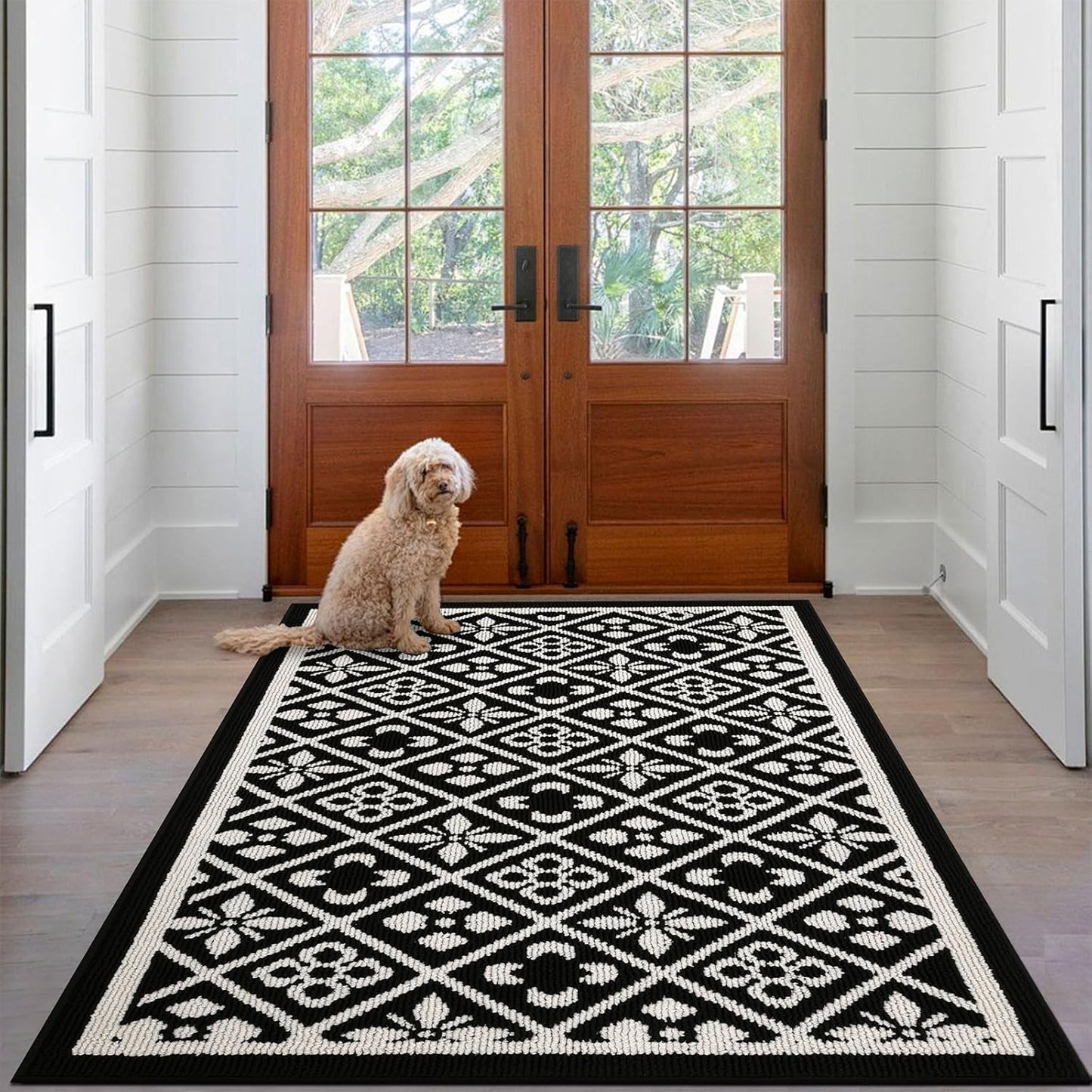 Ileading Entrance Door Mat 3ftx5ft for Muddy Paws and More