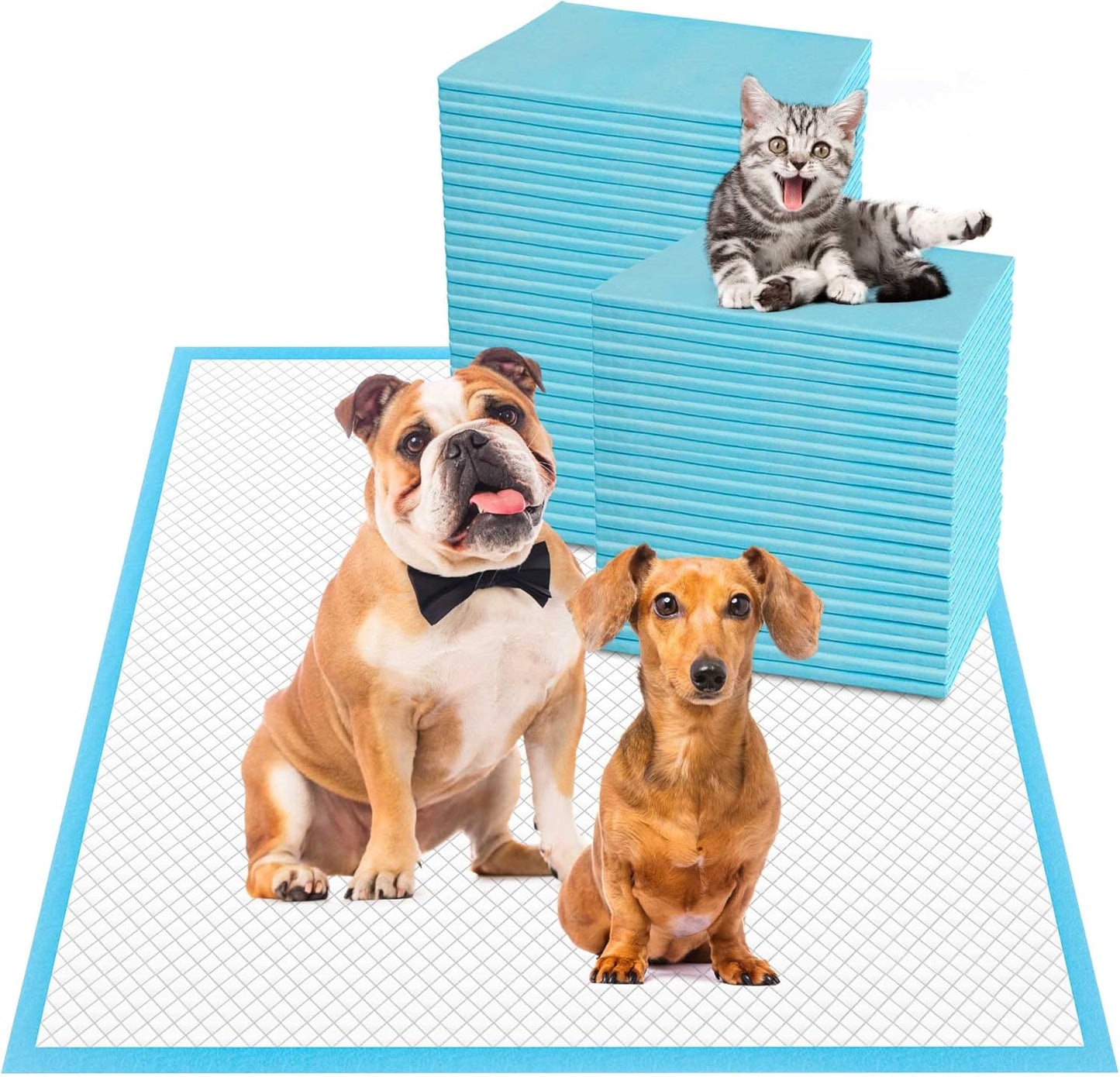 Boscute XL 36x24 Pet Training Pads for Dogs and Cats Review