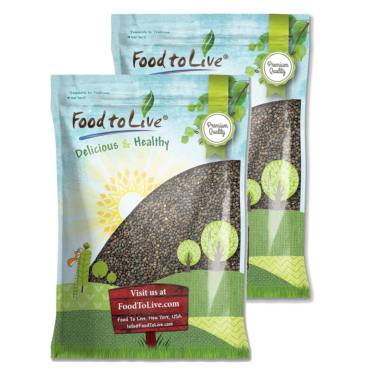 French Green Lentils - Nutritious Plant-Based Protein Source