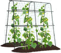Cucumber Trellis for Raised Bed 5x5 ft - Vertical Space Saver