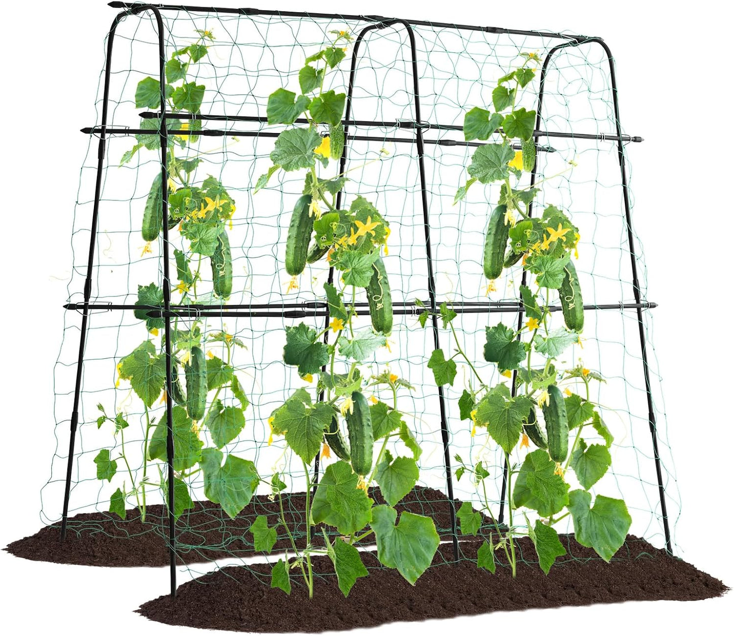Cucumber Trellis for Raised Bed - 5x5ft Metal Support Frame