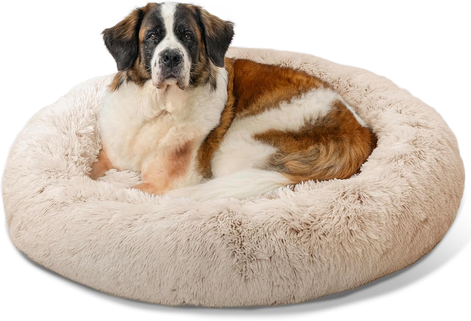 Calming Donut Dog and Cat Bed for Anxiety Relief in Pets
