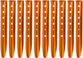 Snow & Sand Camping: 10pcs Lightweight Orange Tent Stakes