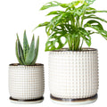 Ceramic Indoor Planter Pots Set of 2 - Beaded Design with Drainage
