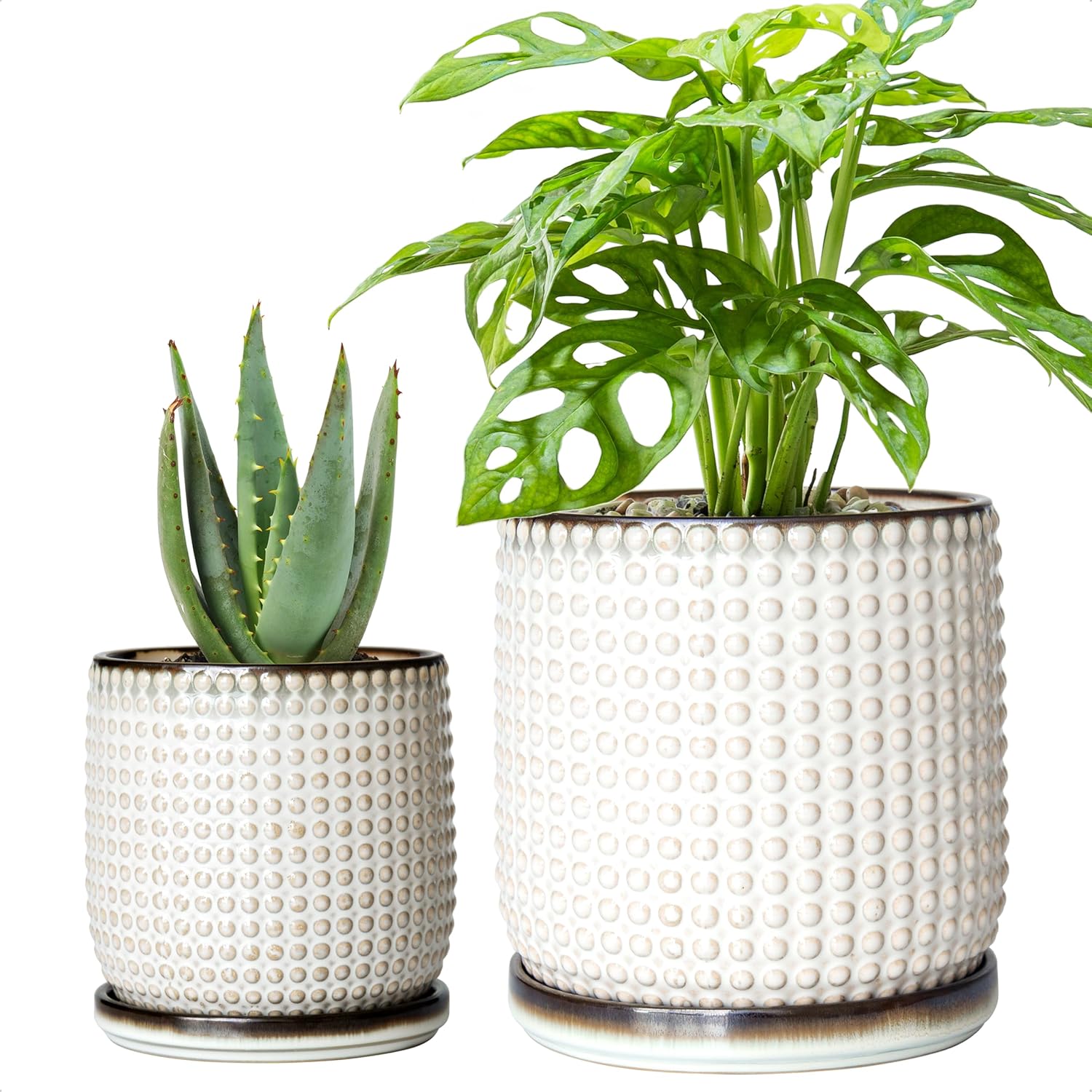 D'vine Dev Ceramic Indoor Planter Pots with Drainage Hole Set