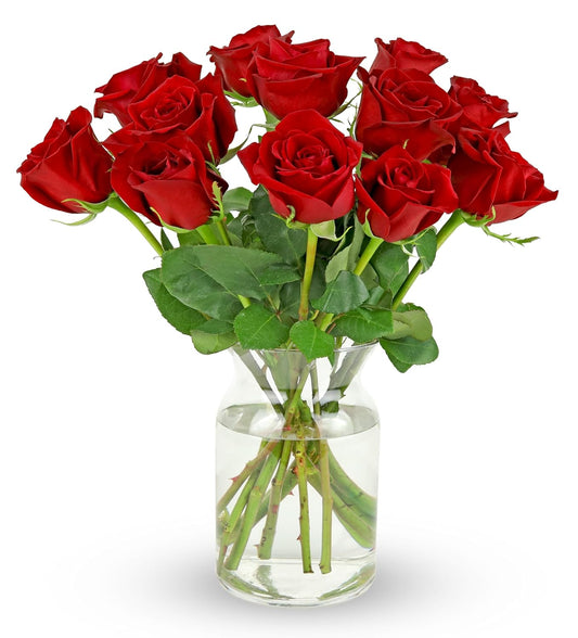 12 Stem Premium Red Roses in Glass Vase for Every Occasion