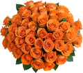 50 Orange Roses Bouquet - Farm-Fresh 50 Stems ARABELLA