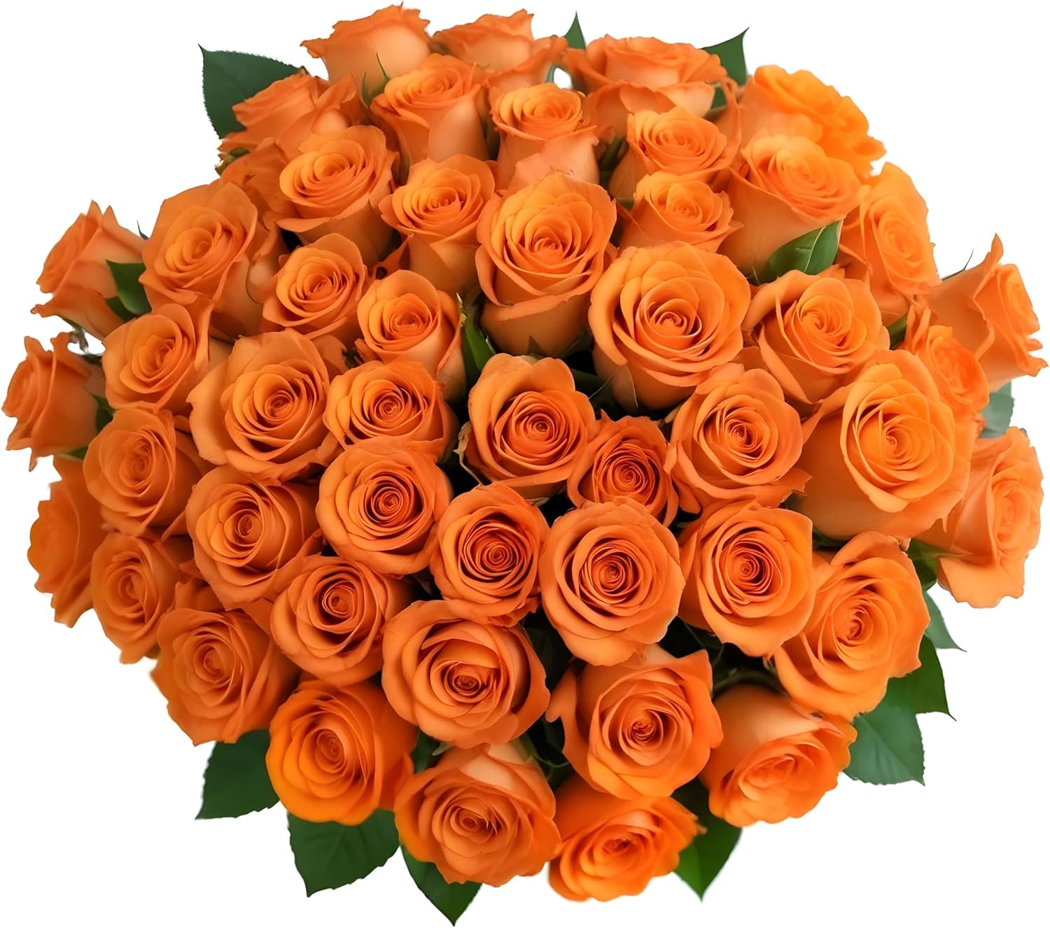 50 Fresh Orange Roses for Delivery | Perfect Gift for Any Occasion