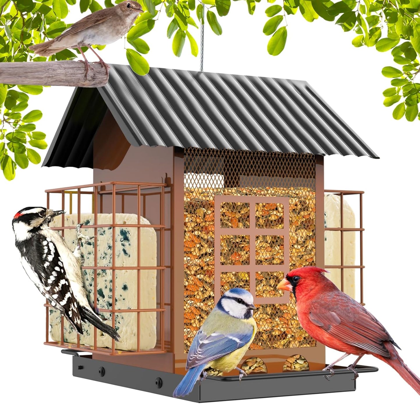 Sturdy Metal Bird Feeders for Outdoors with Double Suet Cage
