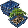 Blue Glazed Ceramic Bonsai Tree Pots Set of 2 - Elegant Indoor