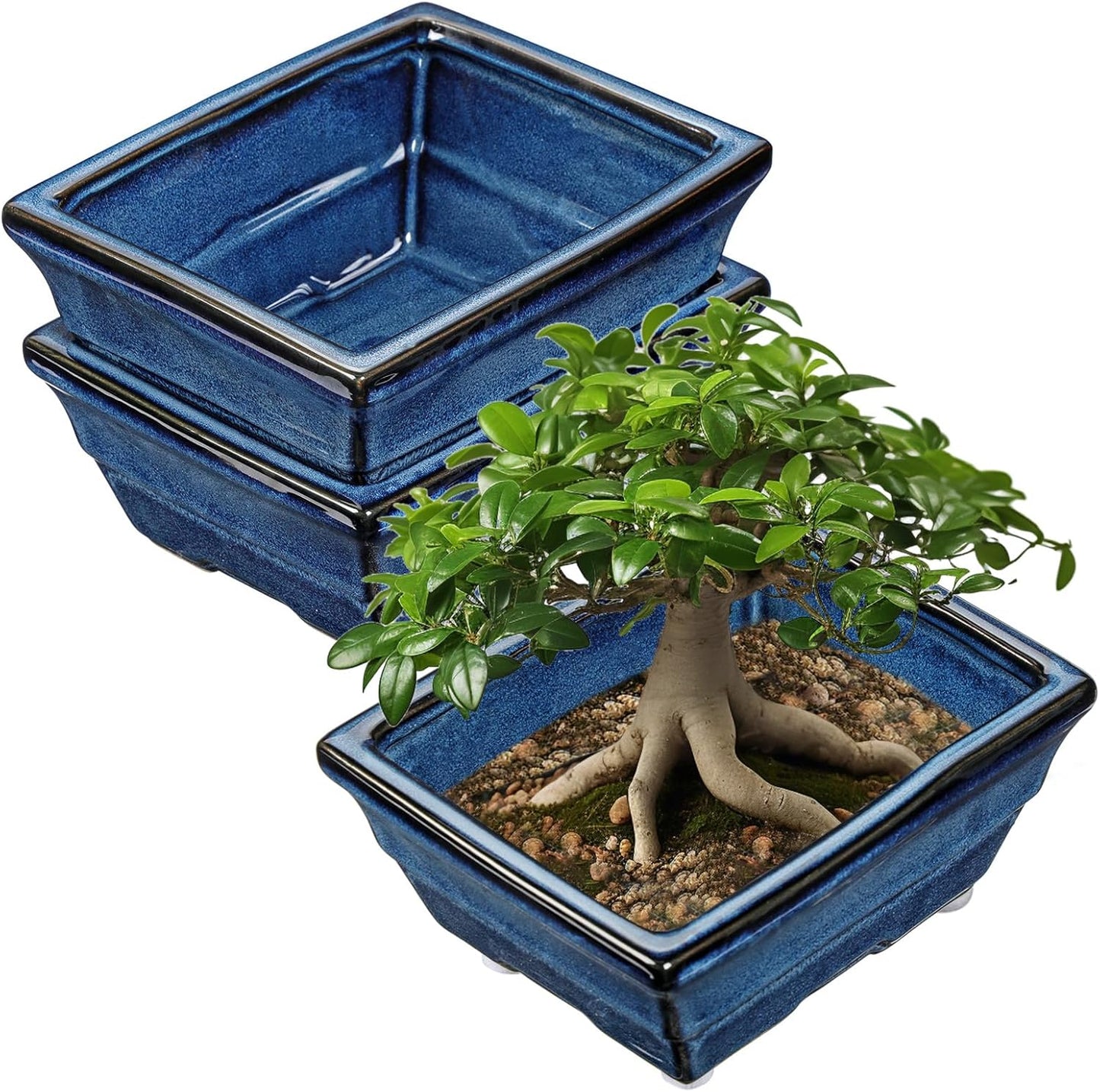 Blue Glazed Ceramic Bonsai Tree Pots Set for Indoor & Outdoor Use