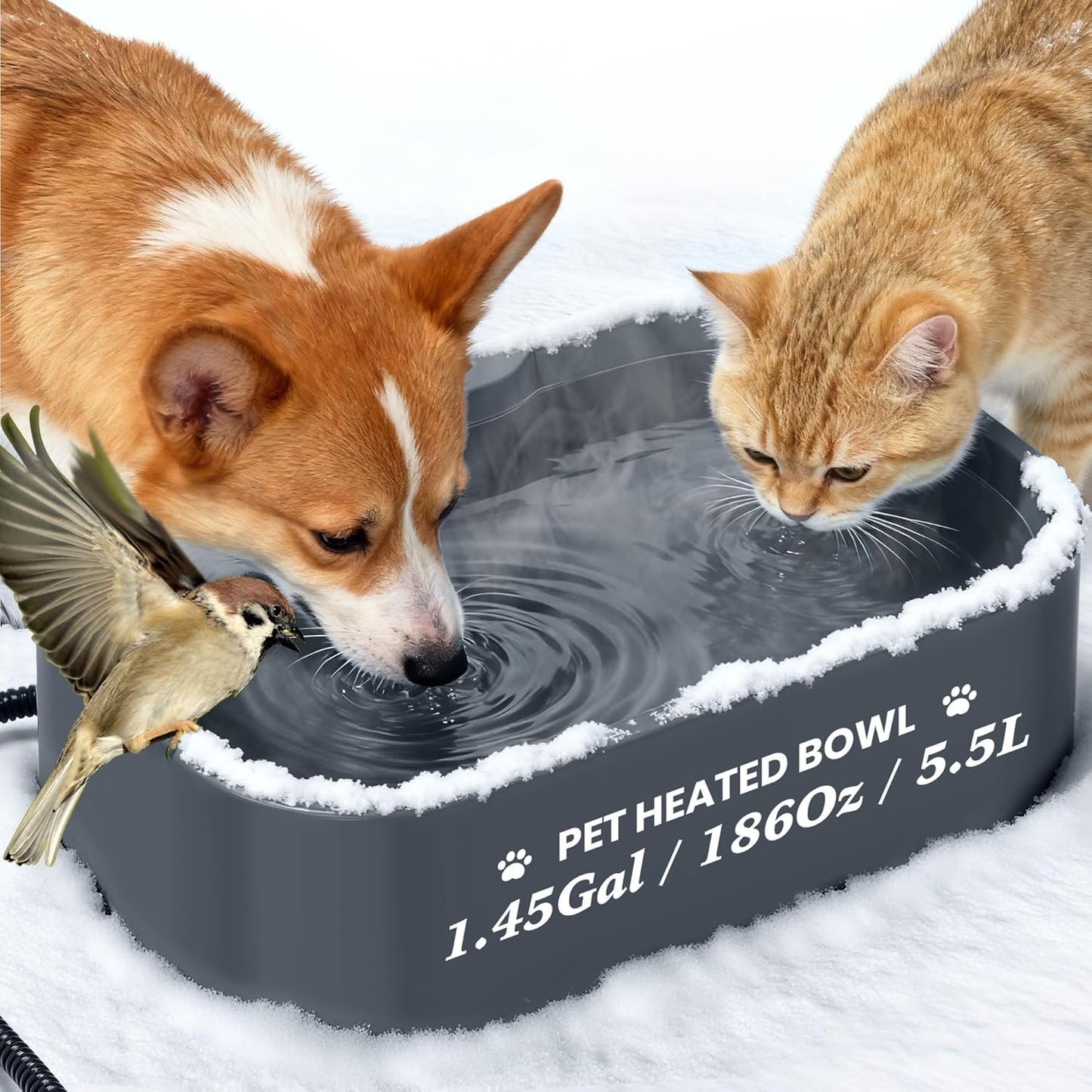Heated Water Bowl for Dogs and Cats - Extra-Large 5.5L Capacity