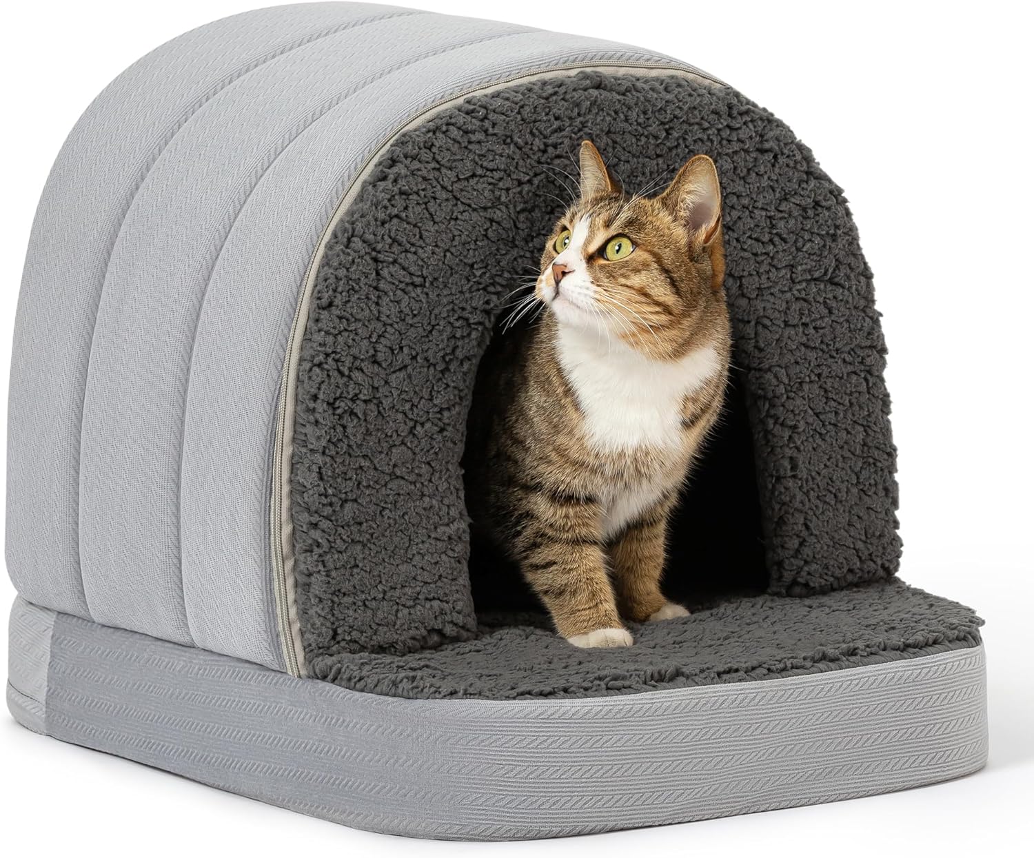 Orthopedic Dog Bed House for Small Breeds with Egg-Crate Foam
